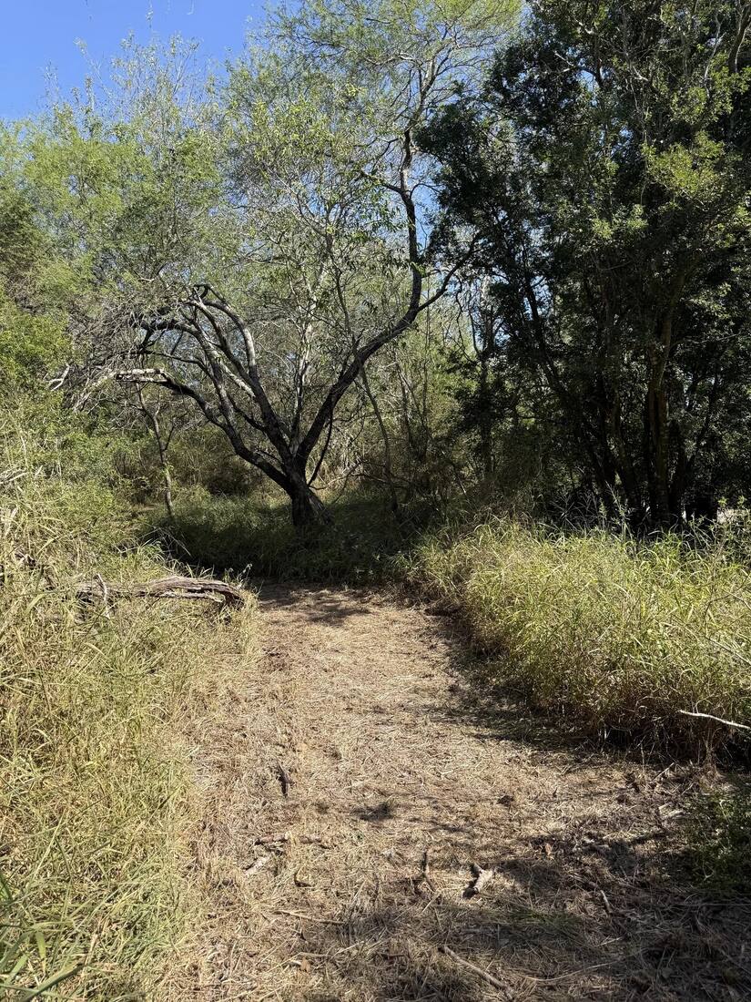 The trail we walk every day